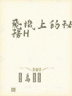 飞机上的秘密服务H