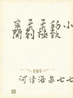 宁柔柔的小泬撑开到极致