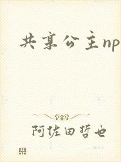共享公主npc封面