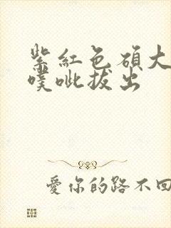 紫红色硕大噗呲噗呲拔出