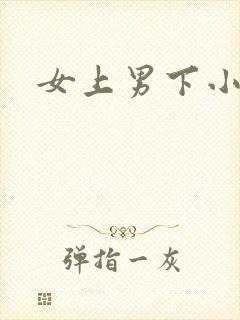 女上男下小说