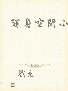 随身空间小说封面