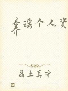 童瑶个人资料简介