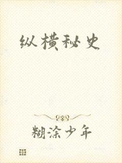 纵横秘史封面