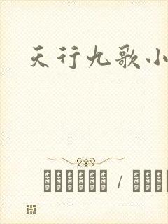 天行九歌小说
