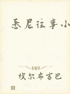 悉尼往事小说封面