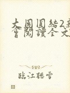 大团圆结2亲情会阅读全文