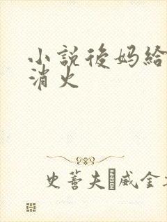 小说后妈给我消消火封面