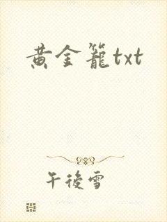 黄金笼txt封面