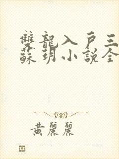 双龙入户三人行苏玥小说全文阅读