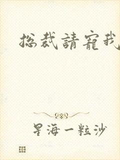 总裁请宠我封面