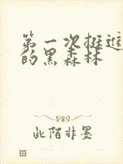 第一次挺进麻麻的黑森林封面