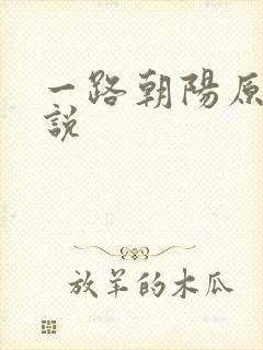 一路朝阳原著小说