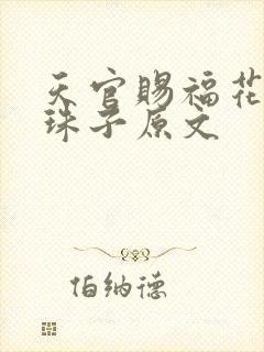 天官赐福花怜塞珠子原文封面