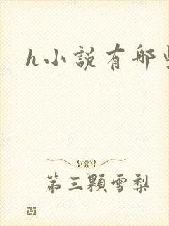 h小说有哪些封面