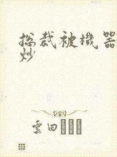 总裁被机器人爆炒封面