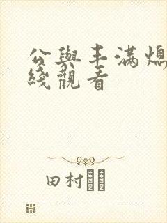 公与丰满熄4在线观看封面