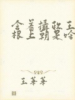 含着摄政王的紫根上朝是啥小说封面