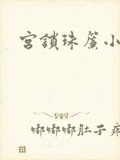 宫锁珠帘小说封面