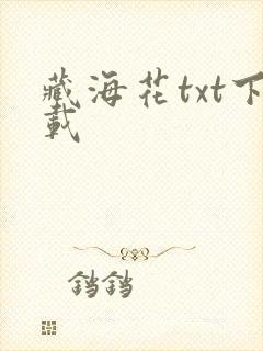 藏海花txt下载封面