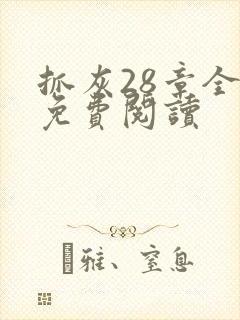 抓灰28章全部免费阅读