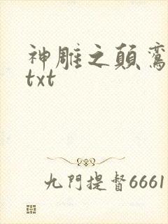 神雕之颠鸾倒凤txt