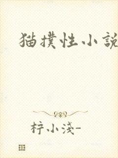 猫扑性小说