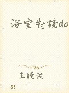 浴室对镜doi封面