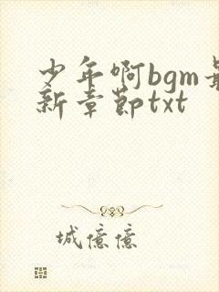 少年啊bgm最新章节txt