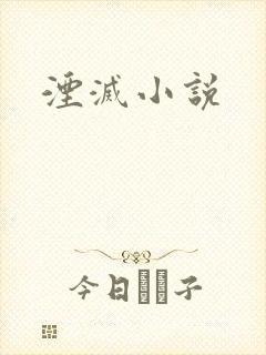 湮灭小说
