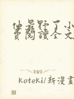 他最野了小说免费阅读全文封面