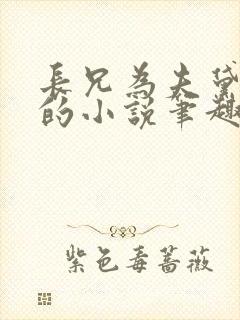 长兄为夫黛珂妃的小说笔趣阁全文