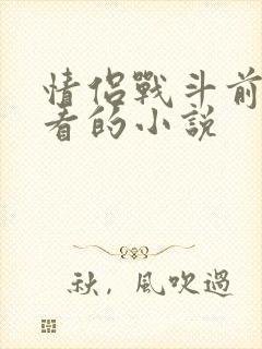 情侣战斗前适合看的小说