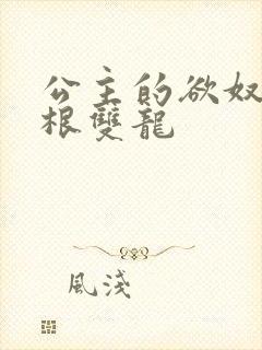 公主的欲奴h四根双龙