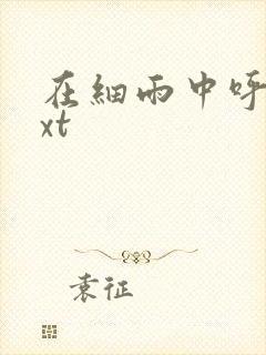 在细雨中呼喊txt