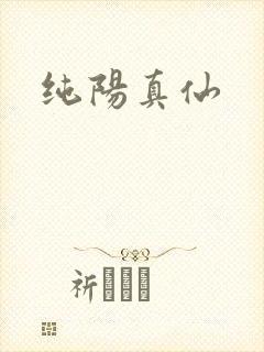 纯阳真仙