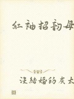 红袖招韵母攻略