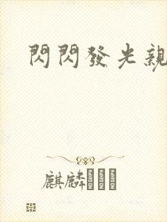 闪闪发光亲情会封面