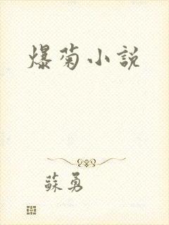 爆菊小说