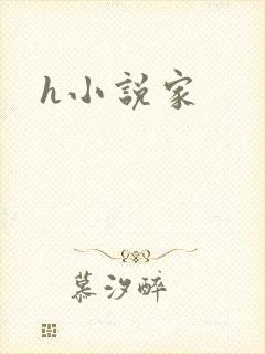 h小说家