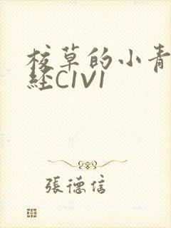 校草的小青梅不经C1V1封面