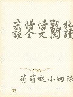 宋惜惜战北望小说全文阅读