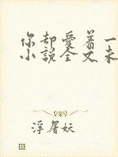 你却爱着一个他小说全文未删减免费