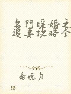 名门暖婚之权爷追妻攻略全文免费阅读