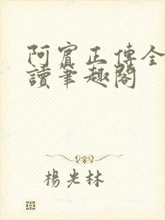 阿宾正传全文阅读笔趣阁