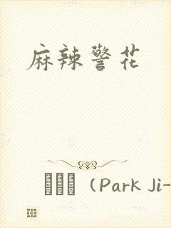 麻辣警花封面