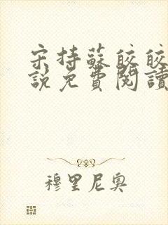 宋持苏皎皎的小说免费阅读