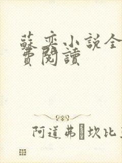 苏奕小说全文免费阅读封面