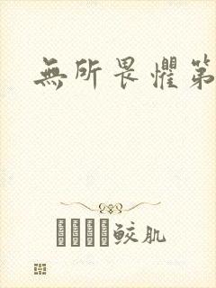 无所畏惧第二部封面