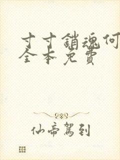 寸寸销魂何生祥全本免费